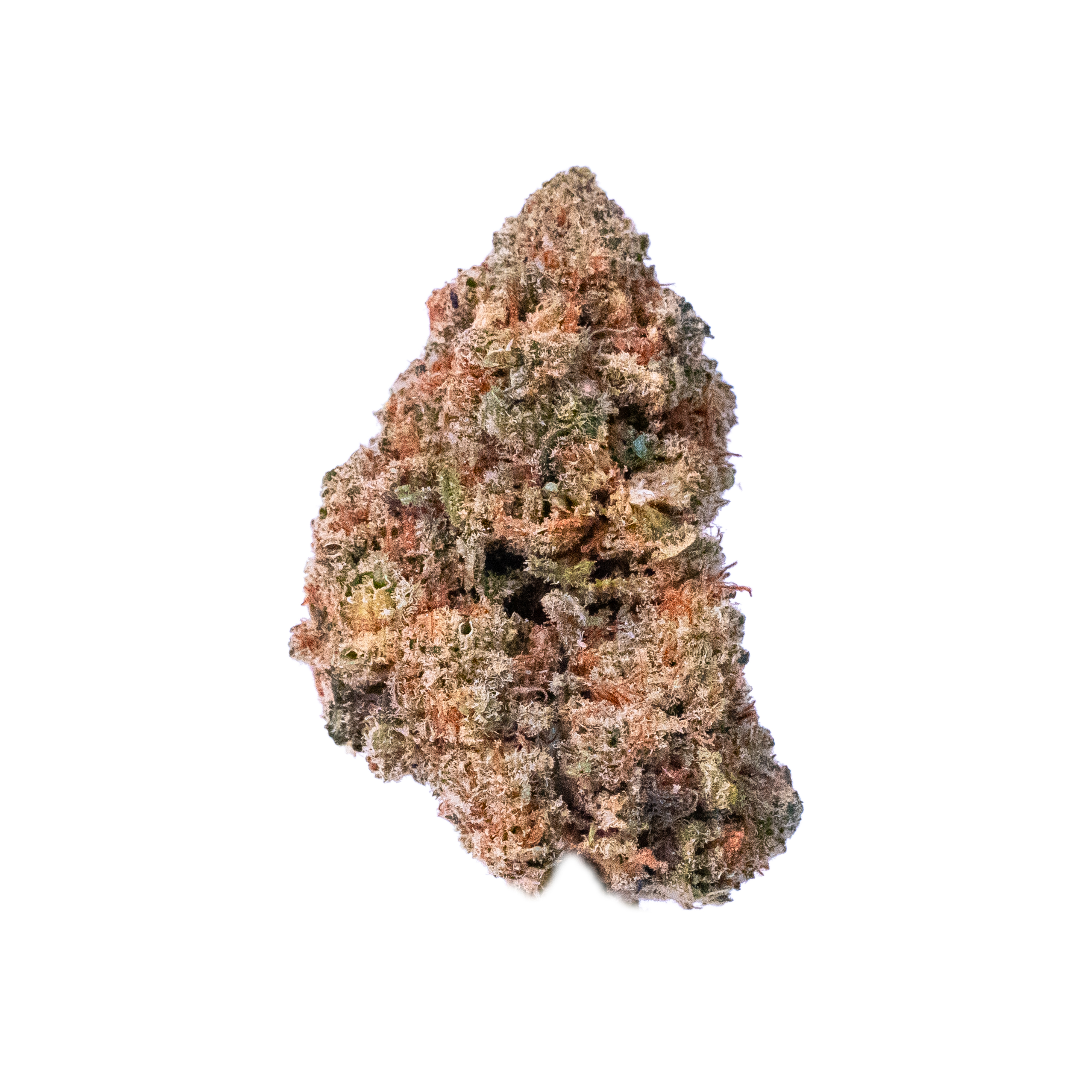 Mango Fire (Indoor)