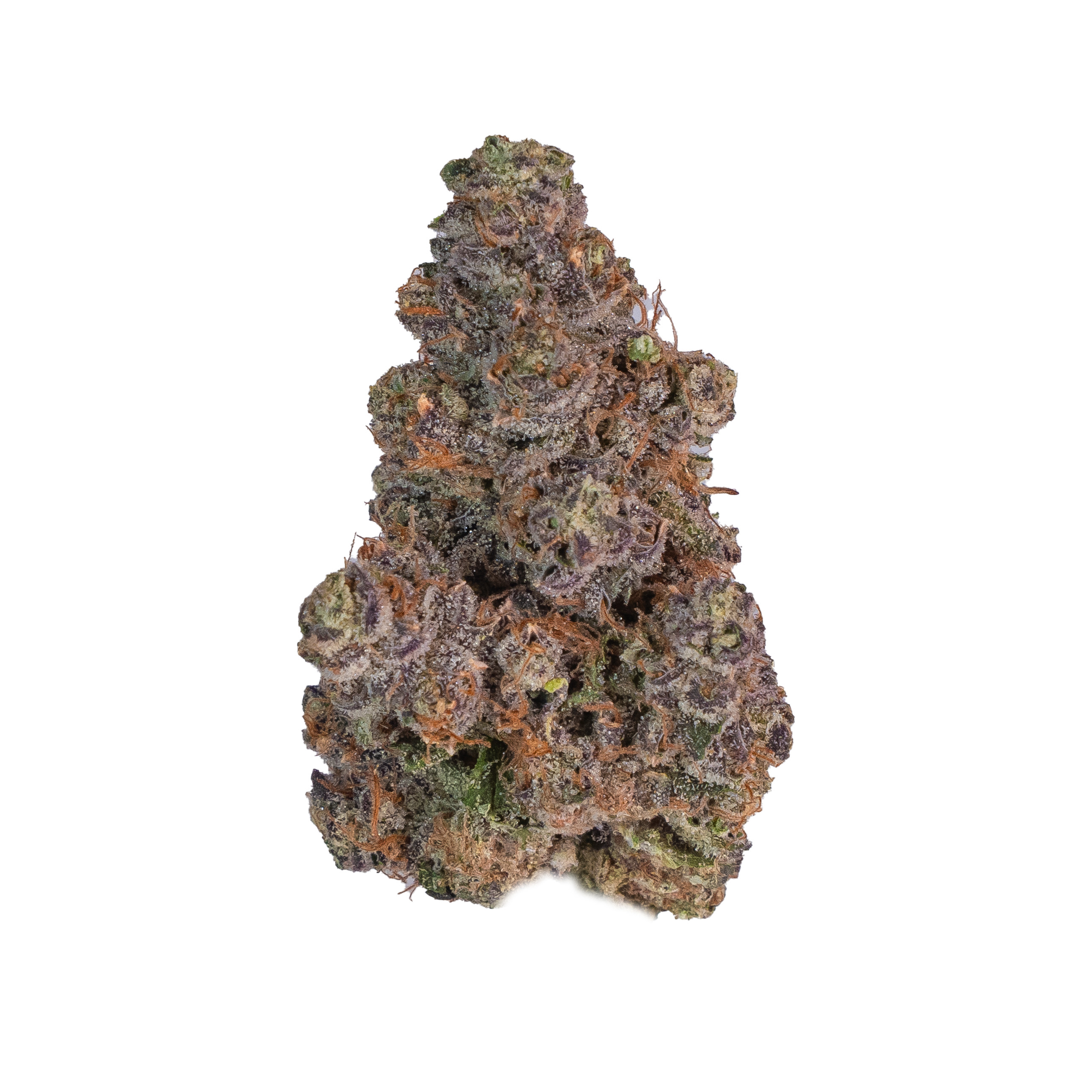 Hash Burger (Indoor)