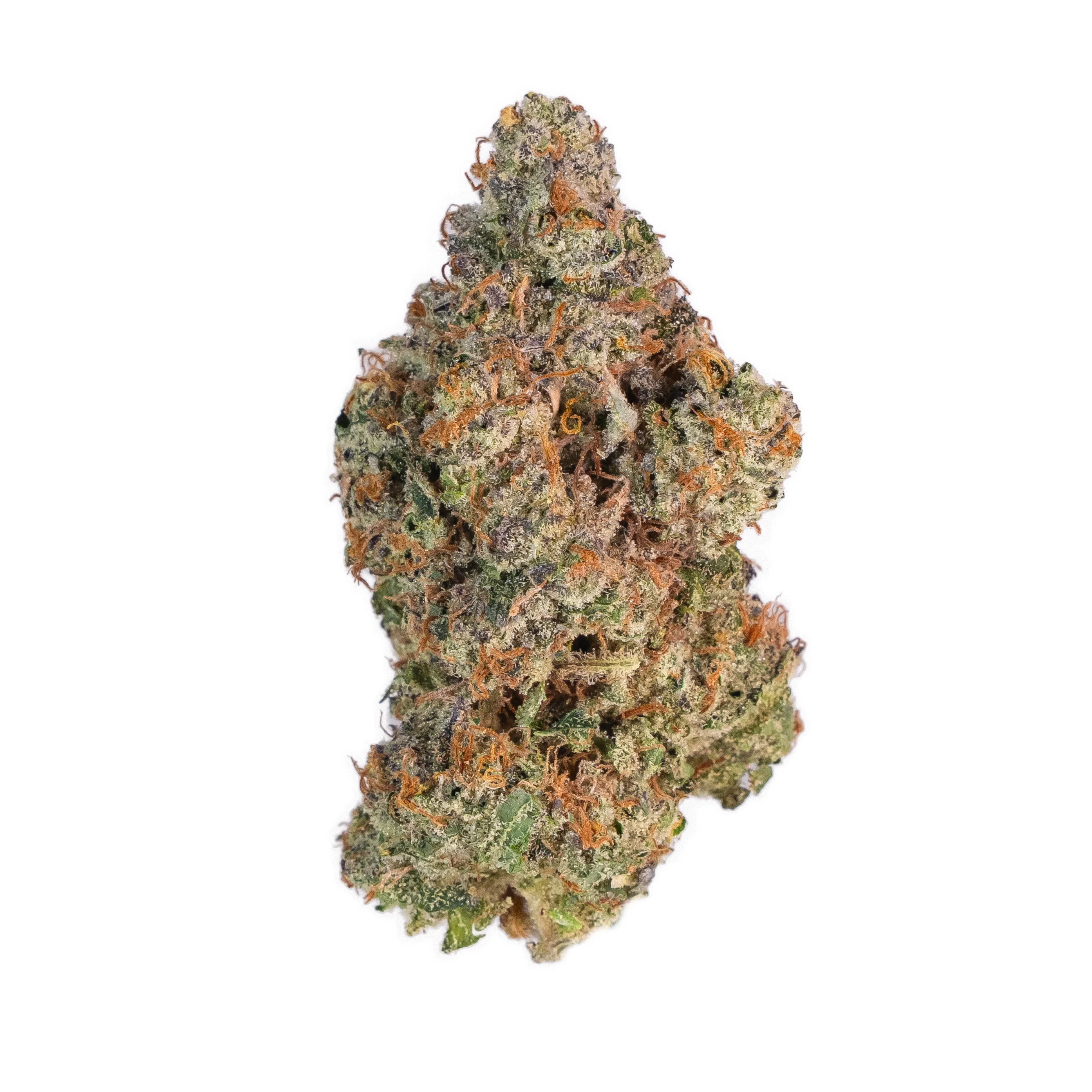 Granddaddy Purp x G41 (Indoor)