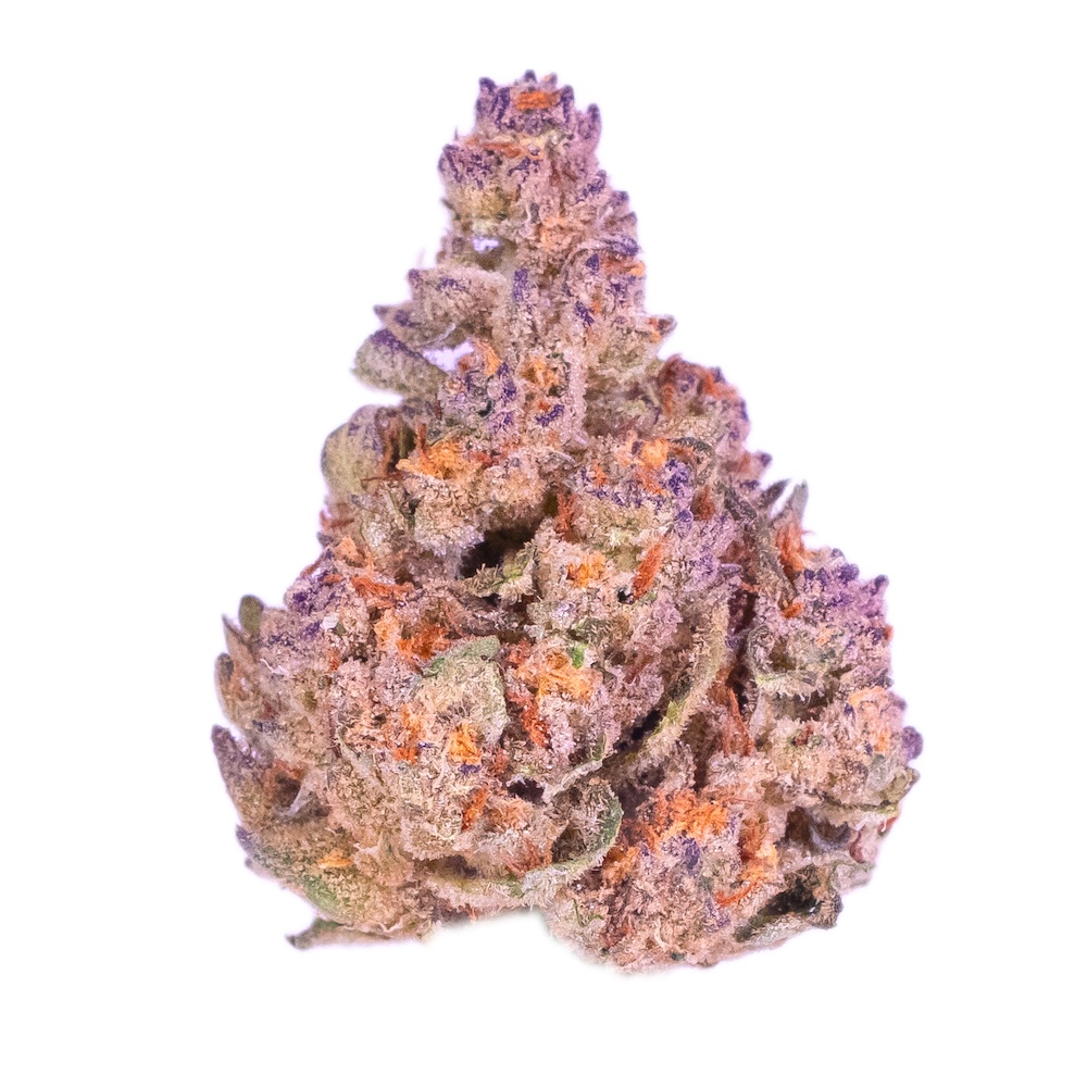 Coconut Cream (Greenhouse)