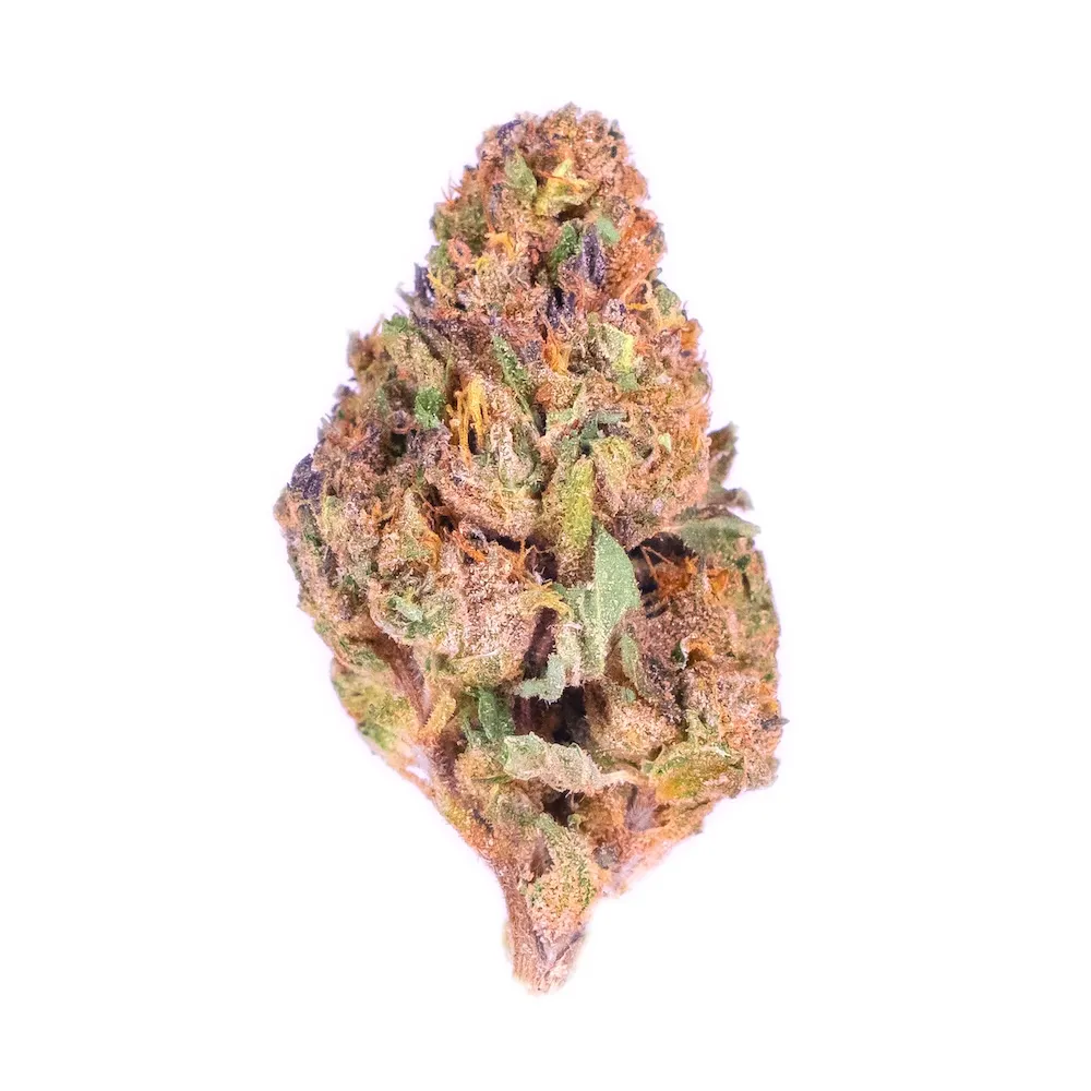 Sherb Pie (Greenhouse)