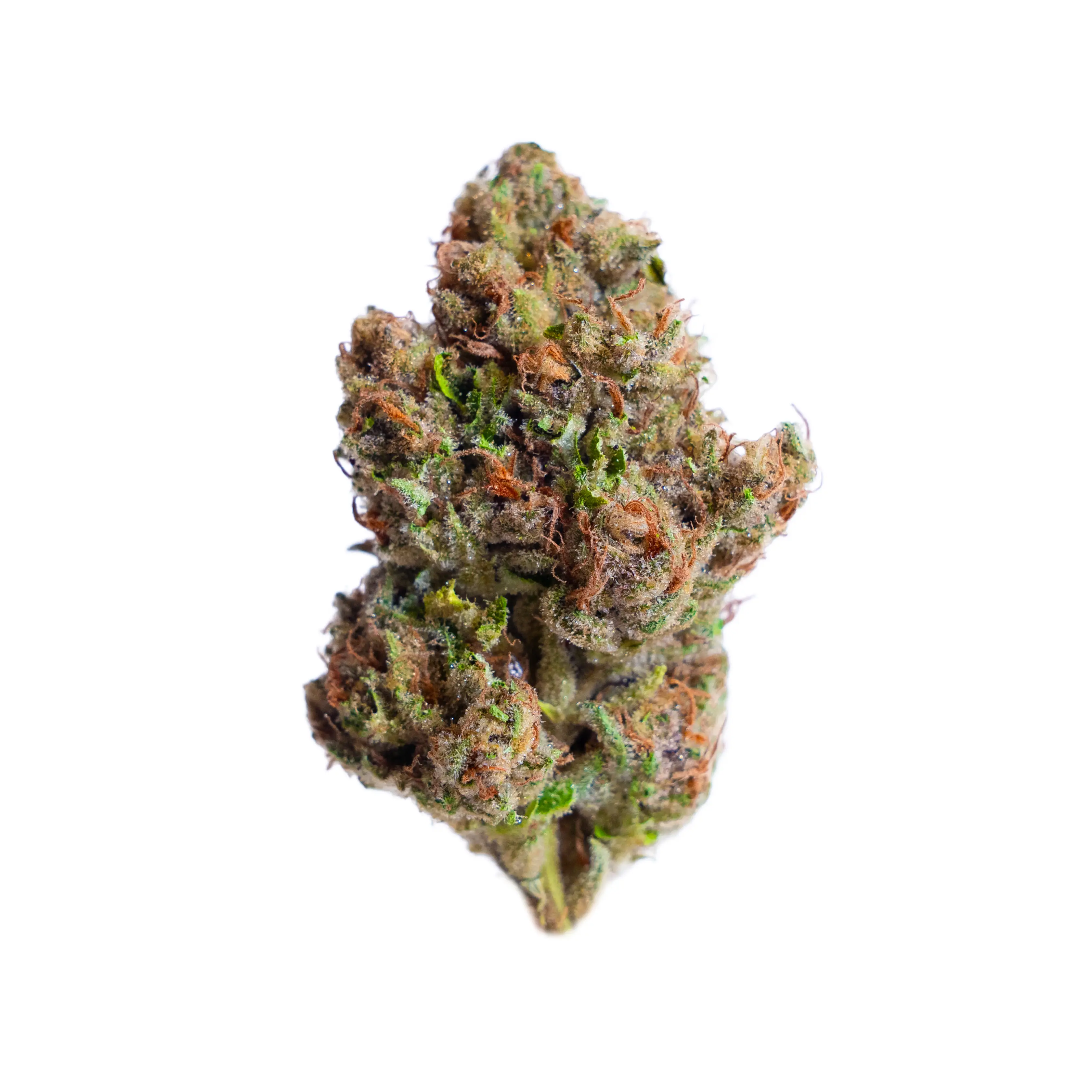 Banana OG (Greenhouse)