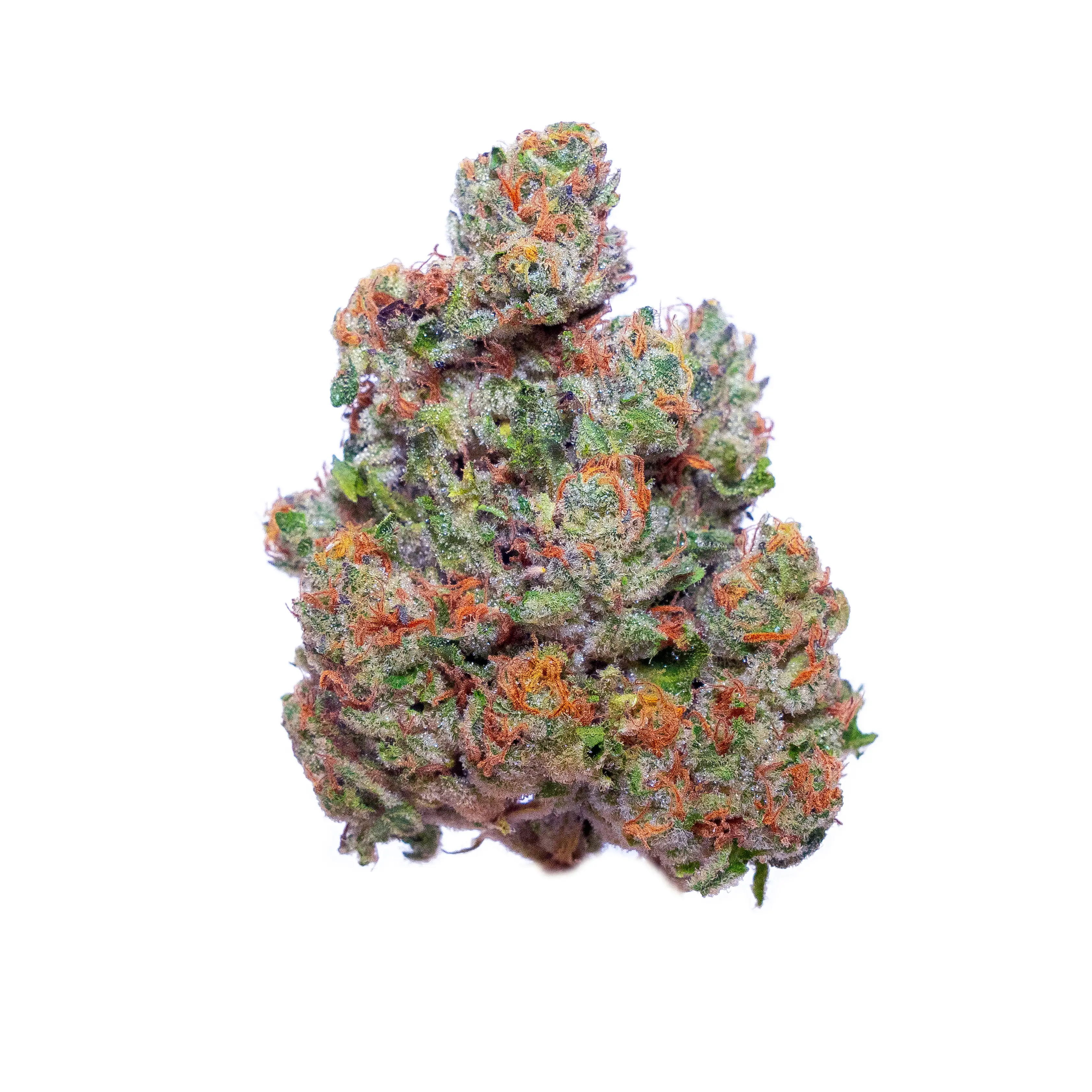 Jealousy x Oreoz (Greenhouse)