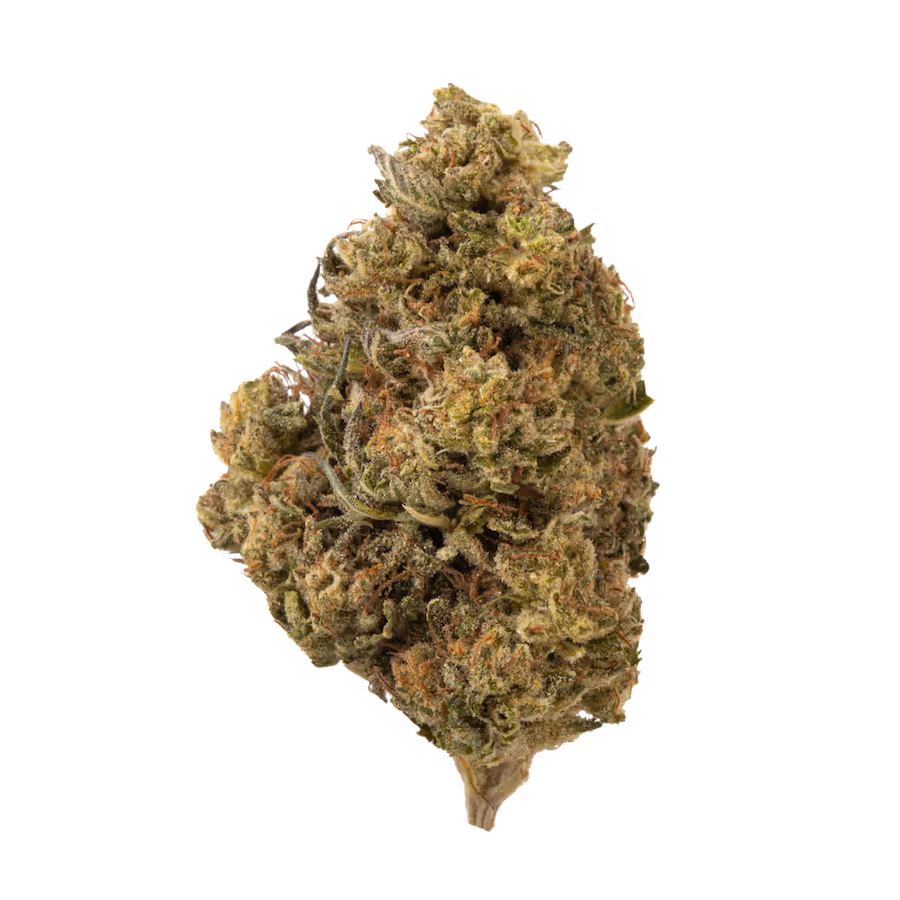 Strawberry Cough (Greenhouse)