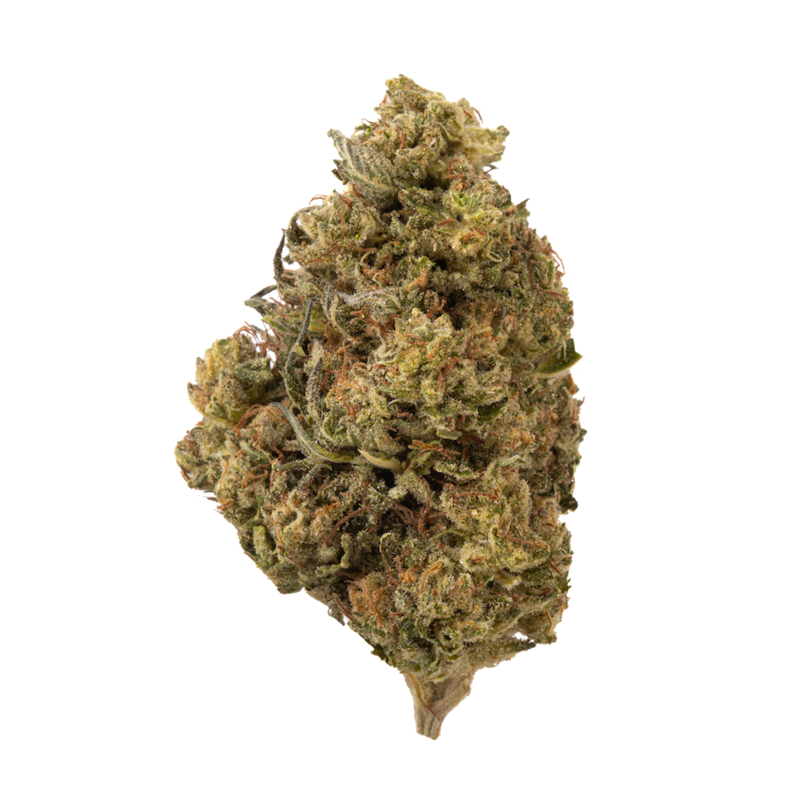 Strawberry Cough (Greenhouse)