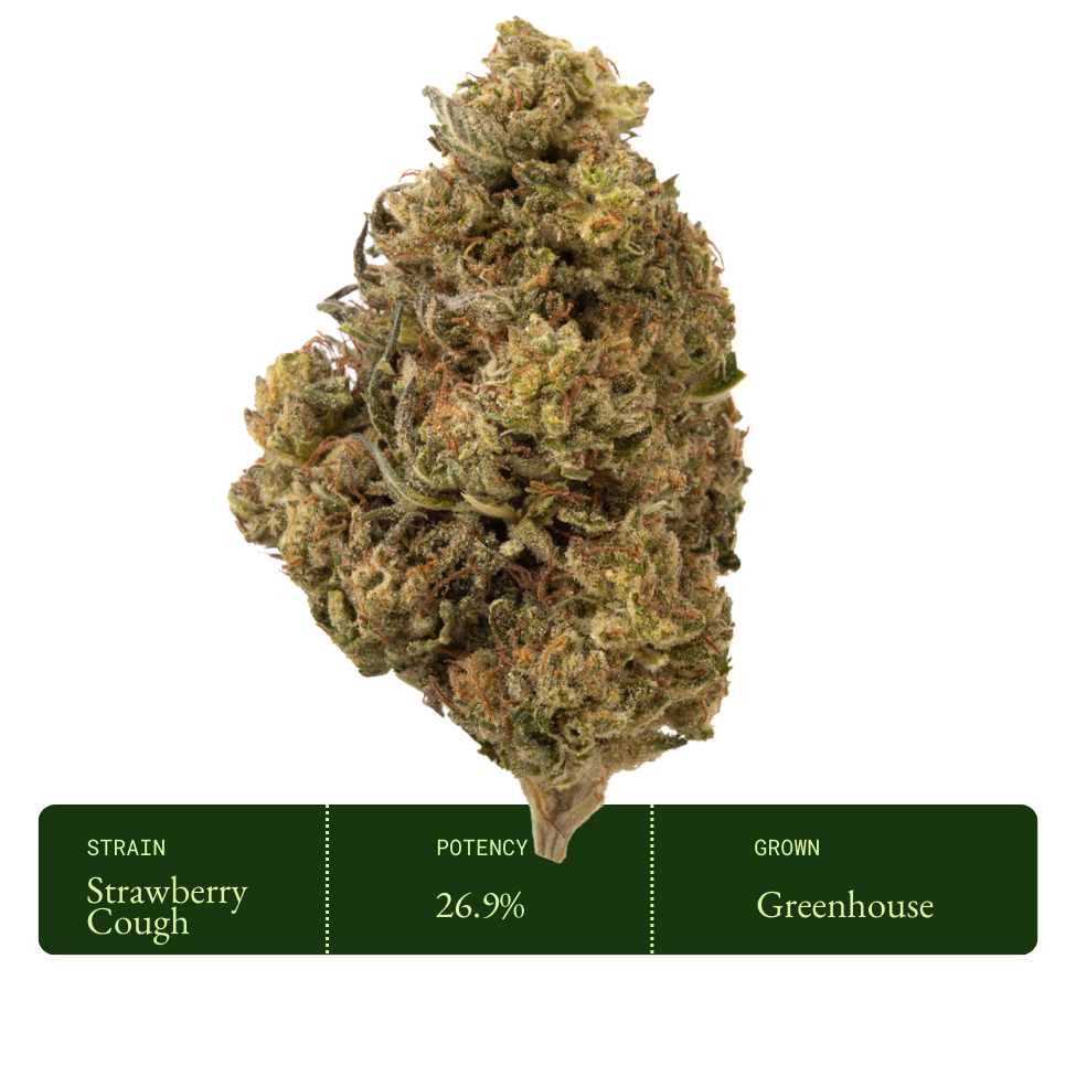 Strawberry Cough (Greenhouse)