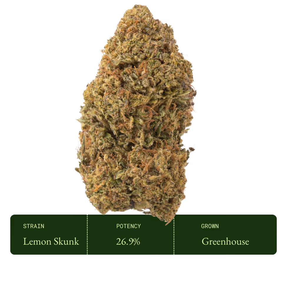 Lemon Skunk (Greenhouse)