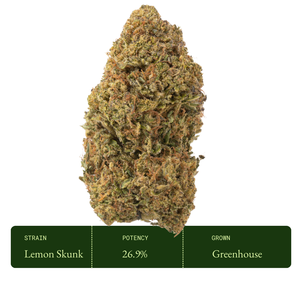 Lemon Skunk (Greenhouse)