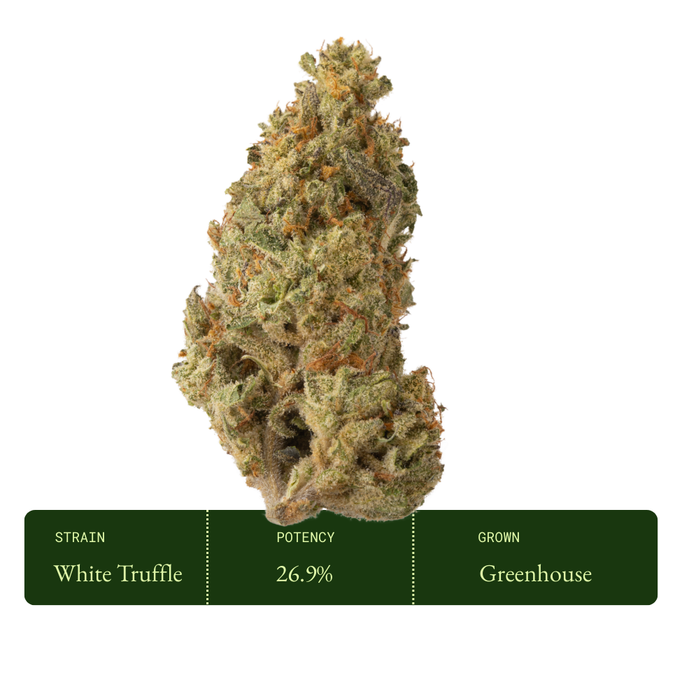 White Truffle (Greenhouse)