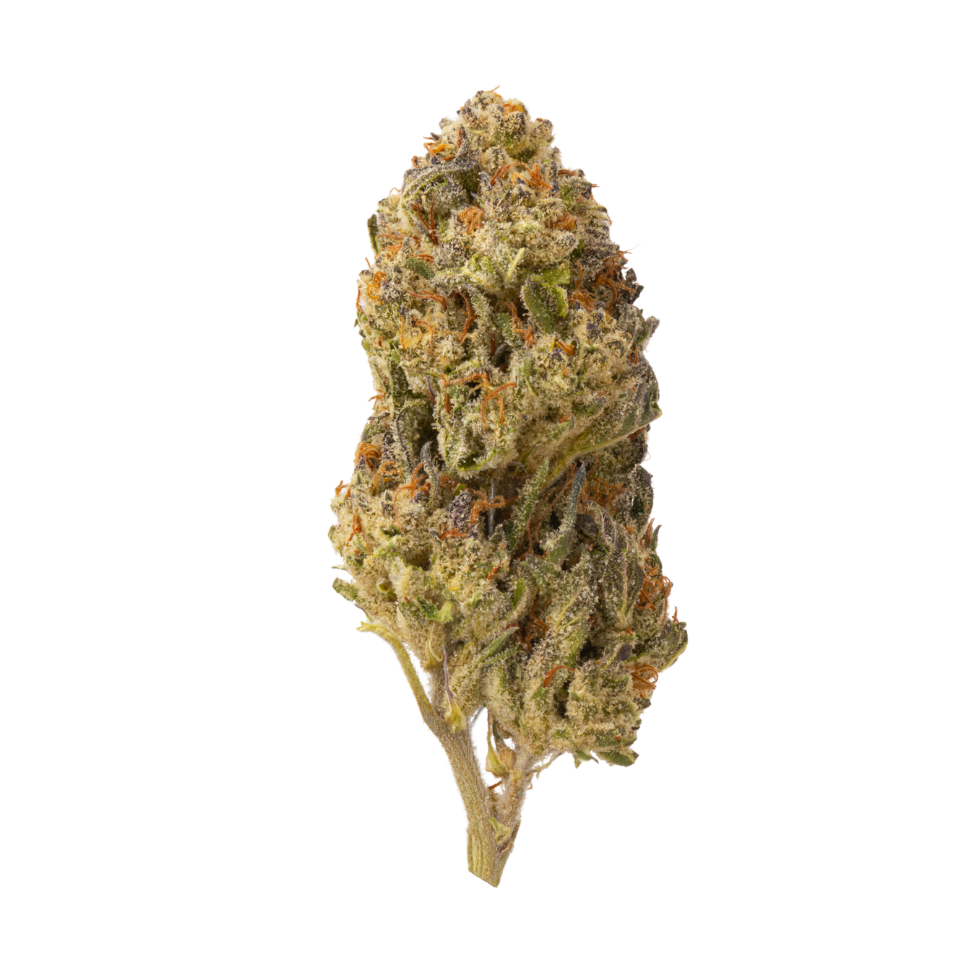 Azul Bluntz (Greenhouse)