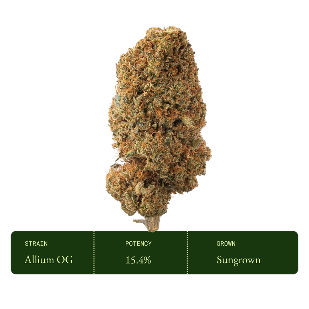 Allium OG (Sungrown CBD)