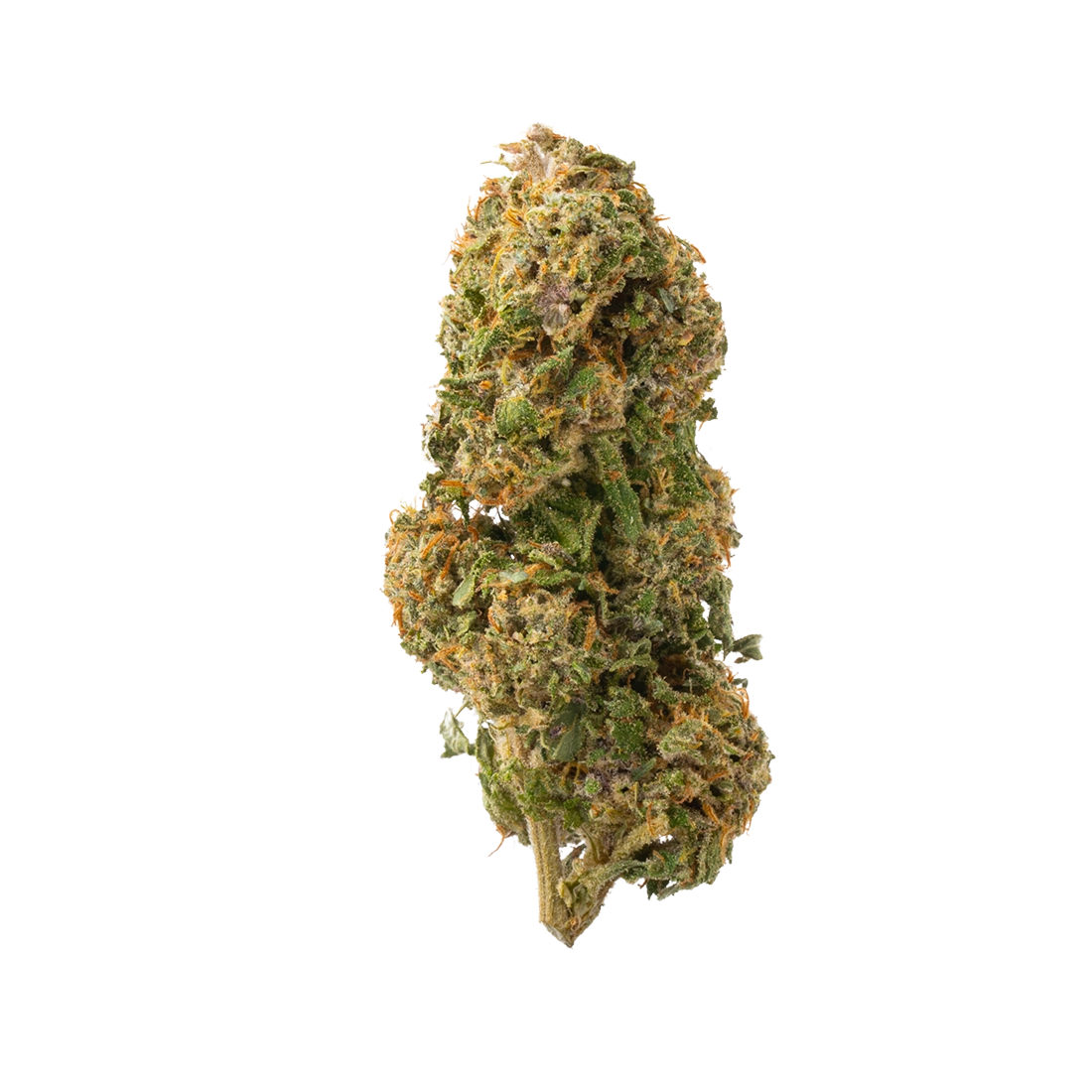 Legendary OG (Sungrown CBD)