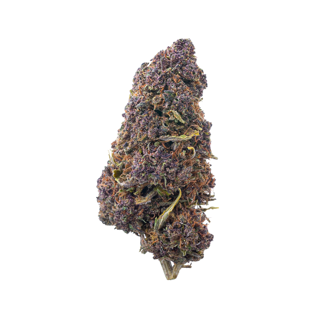 Orange Fritter (Sungrown CBD)