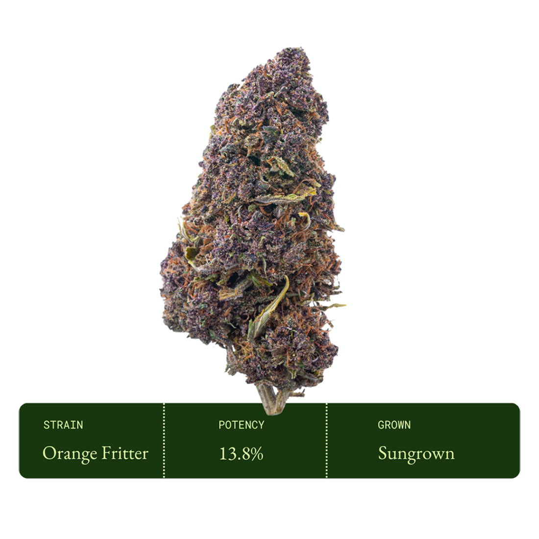 Orange Fritter (Sungrown CBD)