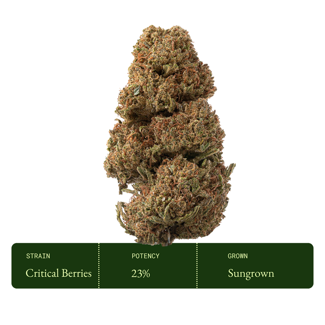 Critical Berries (Sungrown CBD)