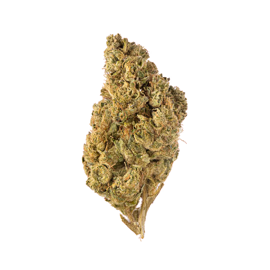 Sub Zero greenhouse flower bud