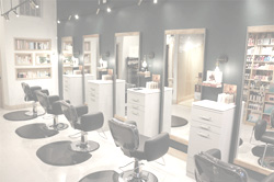 Philosophe Salon