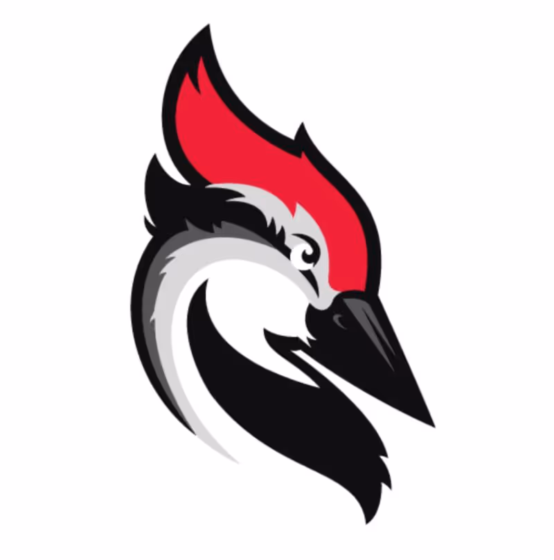 Woodpecker.co