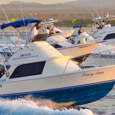 Standard Cruiser Yacht