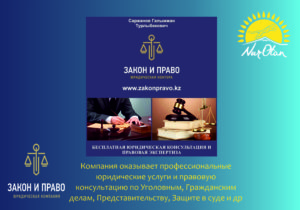 Профессиональная юридическая консультация