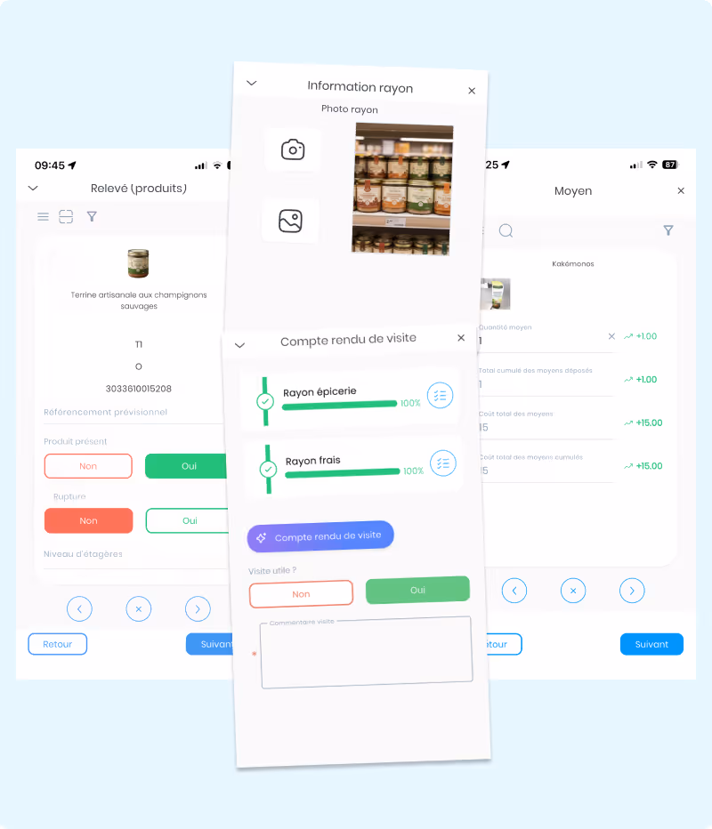 Illustration d'un relevé pour le suivi de merchandising 