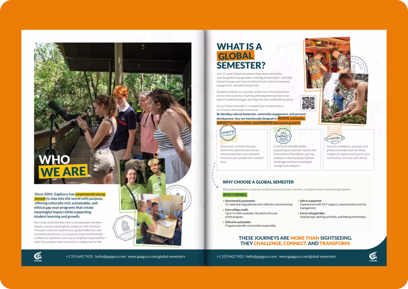 GapGuru brand design image 3 — graphic design detail