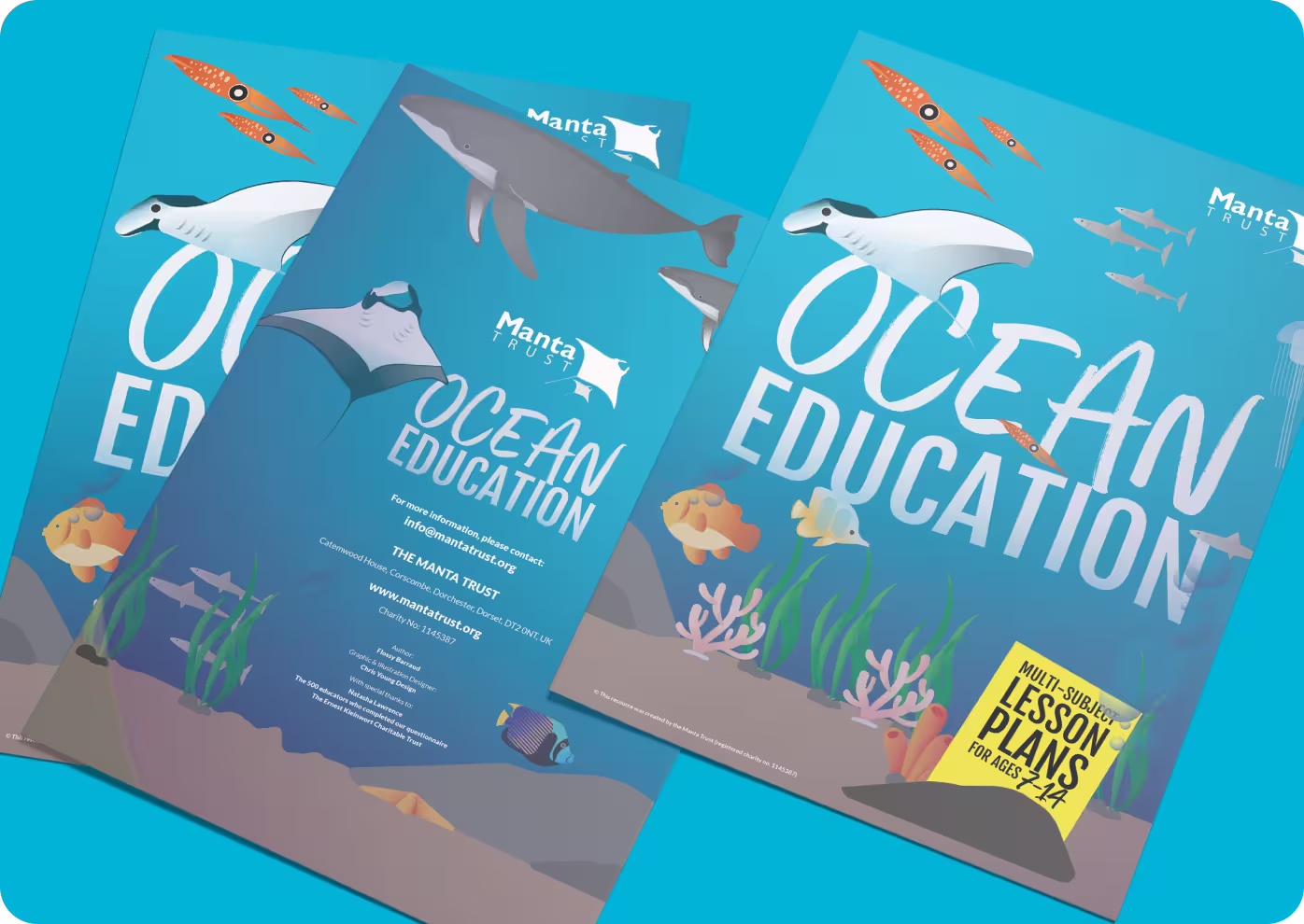 Manta Trust illustrated booklet image 3 — ocean sustainability education design