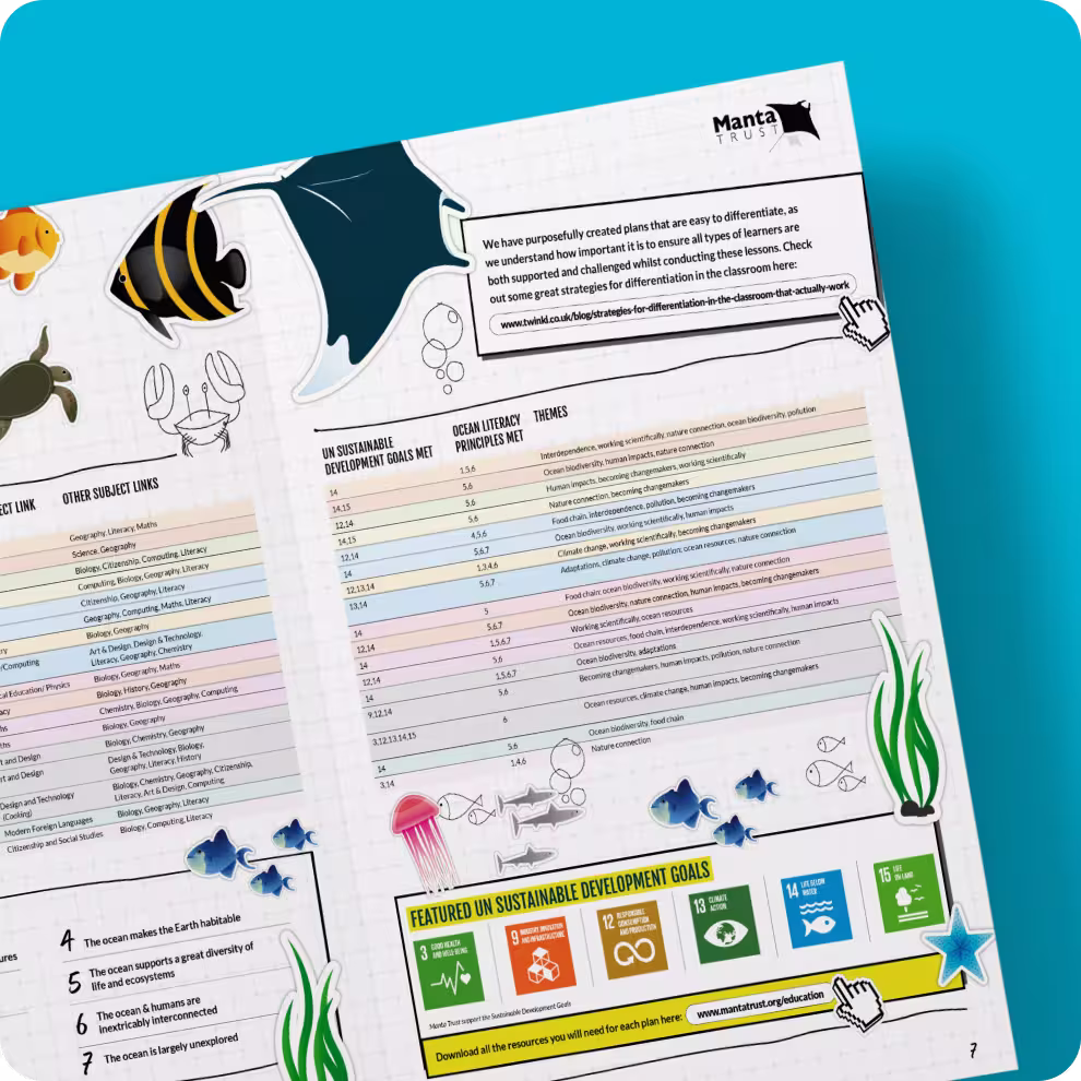 Manta Trust educational booklet image 5 — manta ray conservation illustration