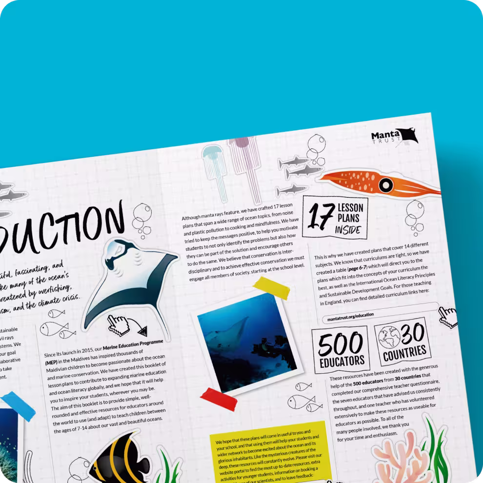 Manta Trust illustrated booklet image 2 — charity graphic design page spread
