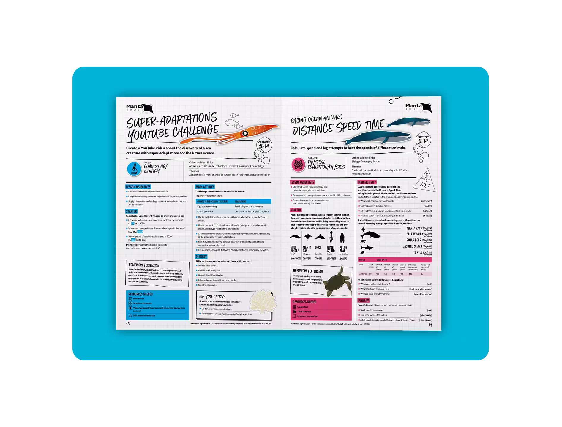 Manta Trust illustrated booklet image 4 — manta ray conservation booklet layout