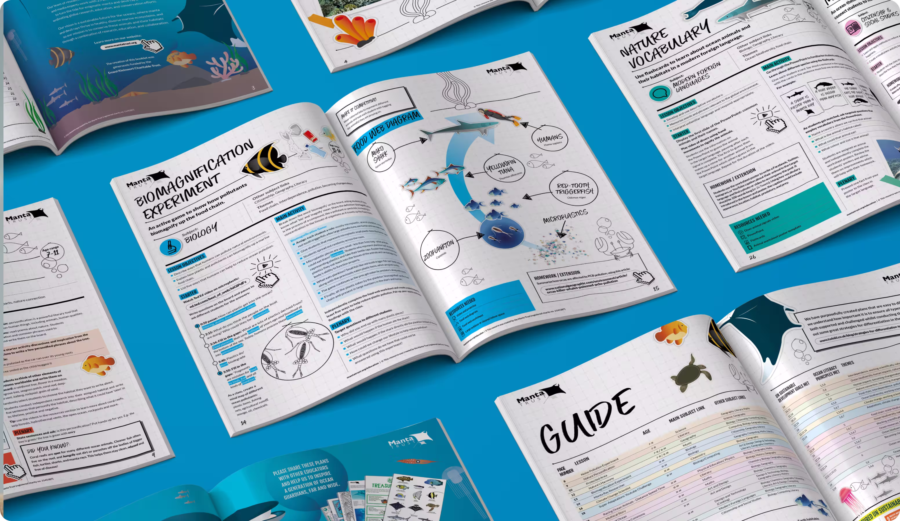 Manta Trust hero image — custom illustrated educational booklet for manta ray charity