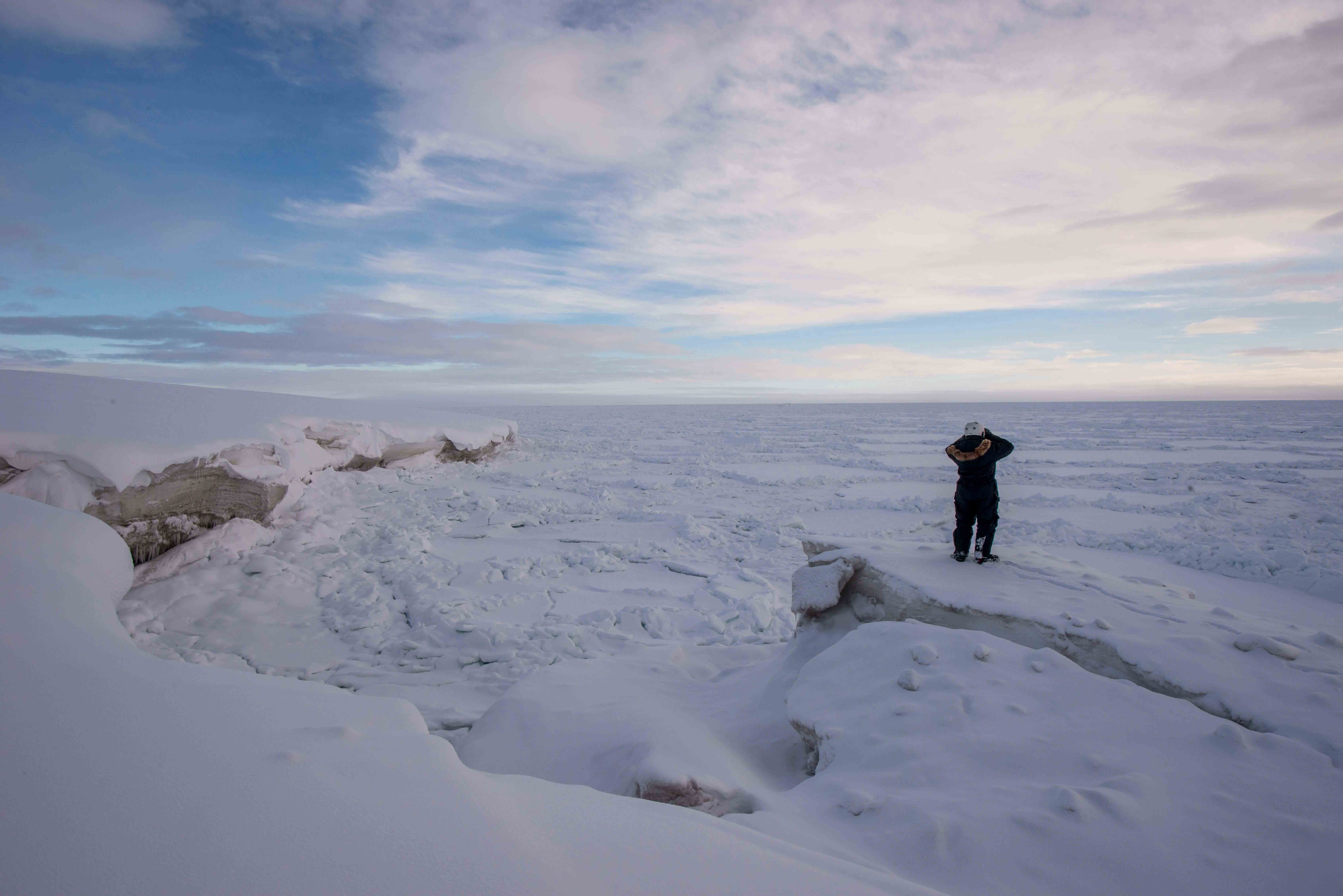 East Coast Wilderness Adventure | Poli Arctici, image size:7360x4912