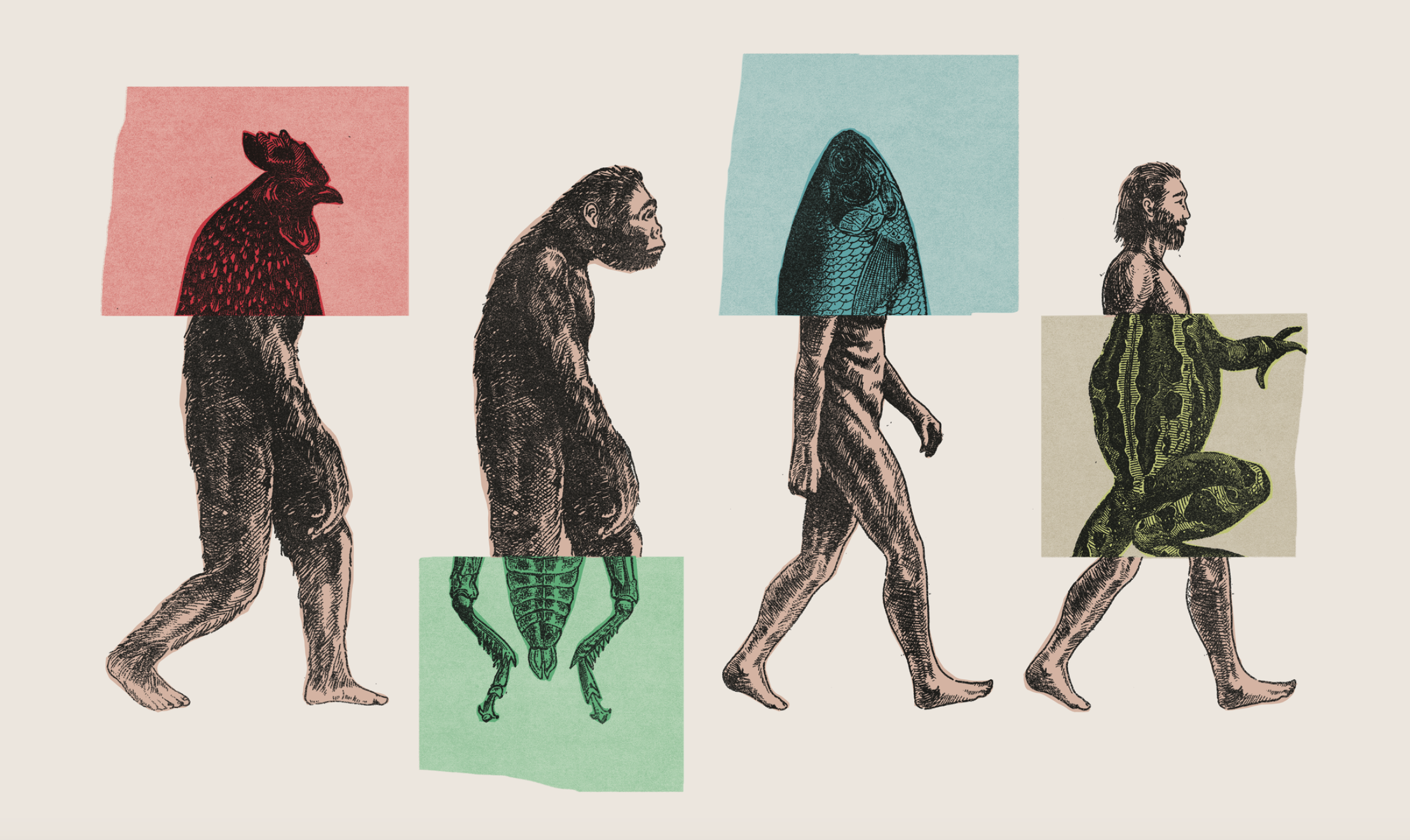Modified evolution Illustration by Michael Houtz