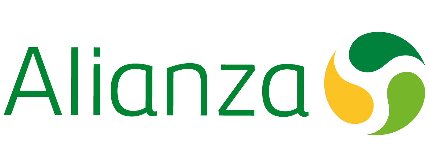 Summit Nanotech Logo