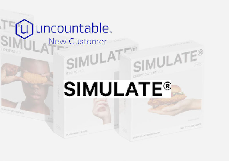 Simulate Logo