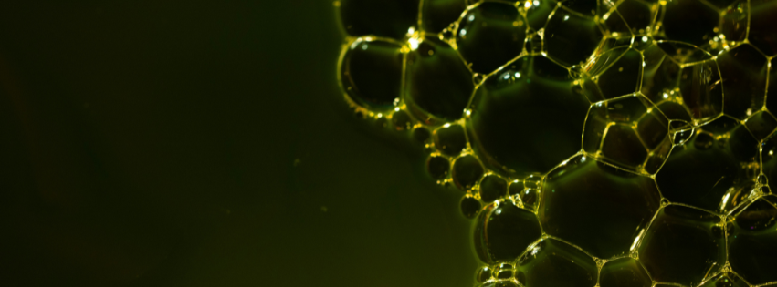 Coating bubbles