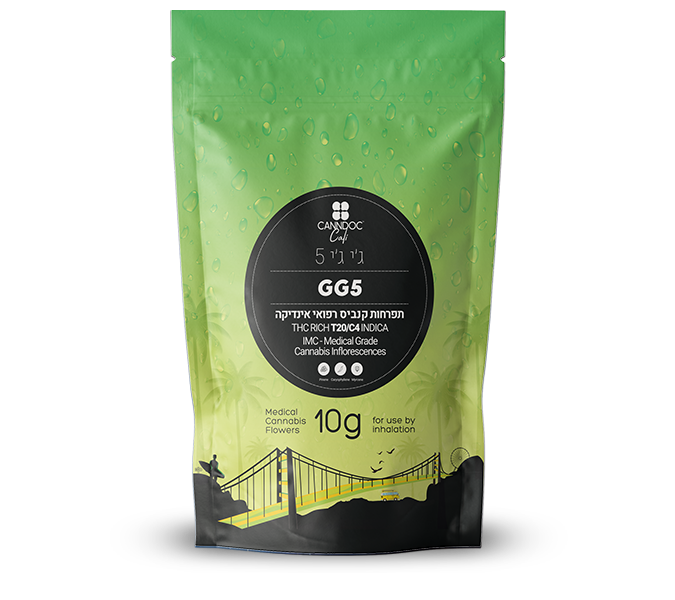 GG5