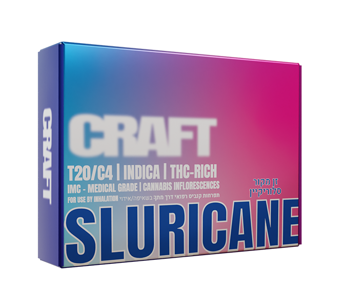 Sluricane