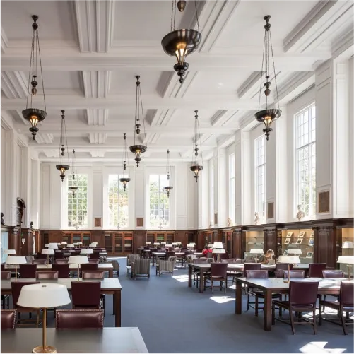 Acoustical Plaster in Library