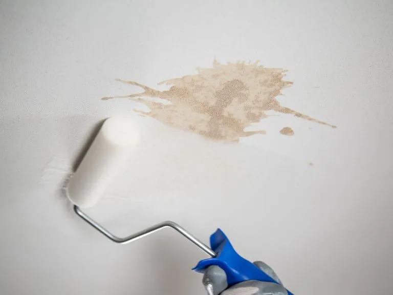 BASWA Clean