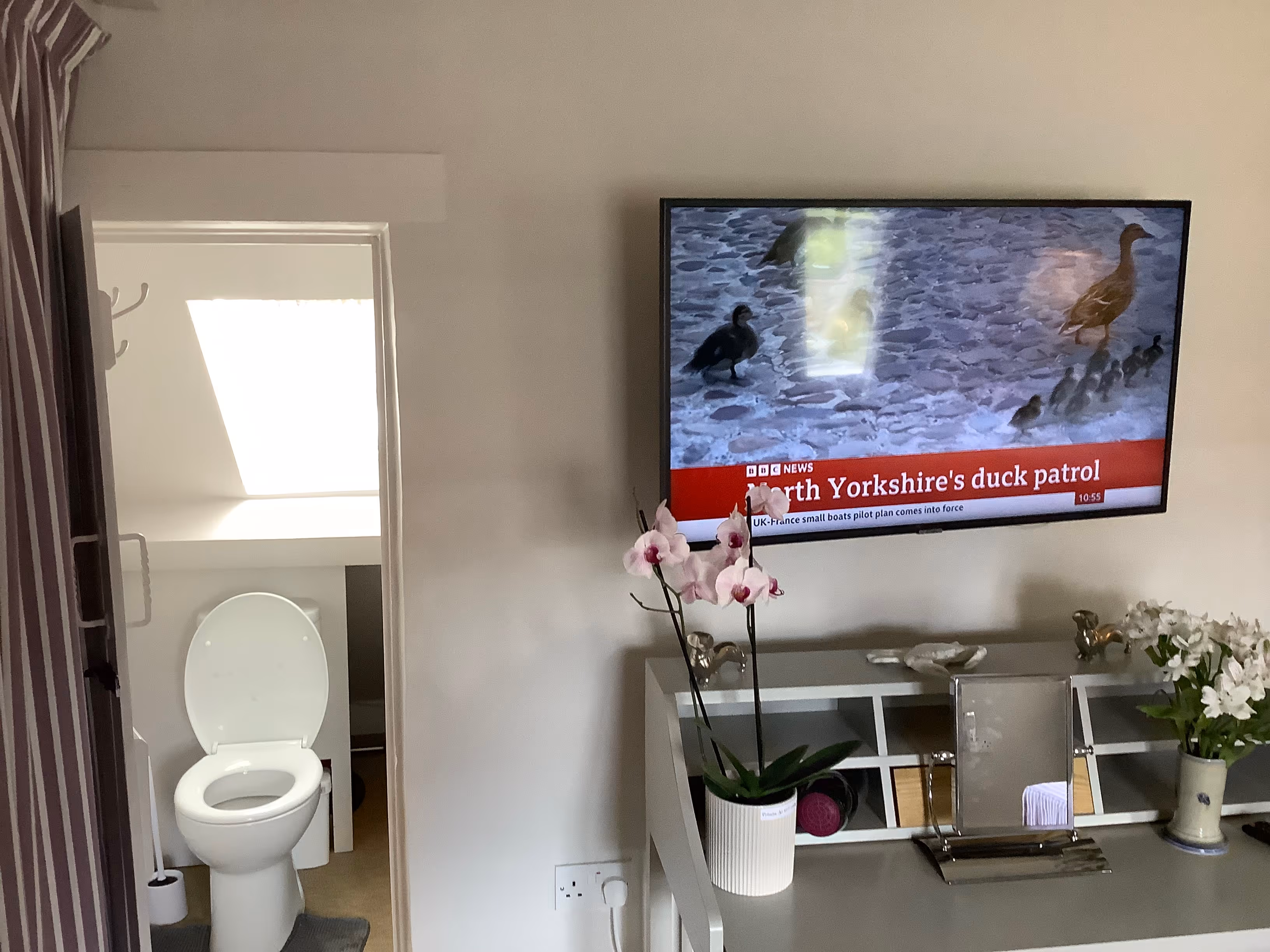 BBC News showing North Yorkshire's duck patrol on television