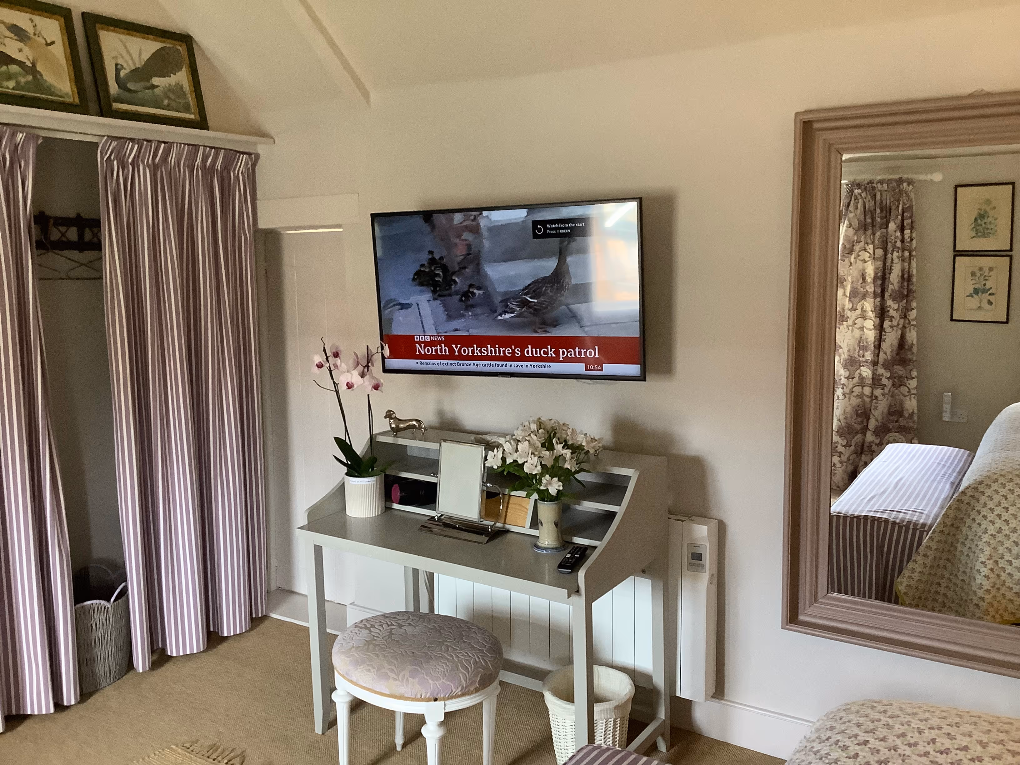 BBC news about North Yorkshire's duck patrol on living room TV