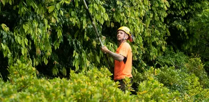 An arborist using an extendable tool to shape the hedges partitioning units in a retirement village.