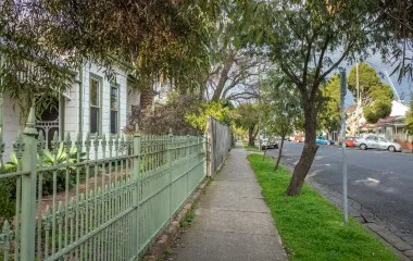 교외 거리에 늘어선 나무들