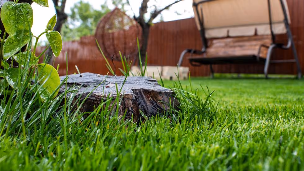 stump removal and grinding