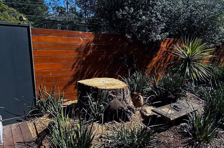 Cleanly ground tree stump left flush with the soil, surrounded by landscaped garden after stump grinding.