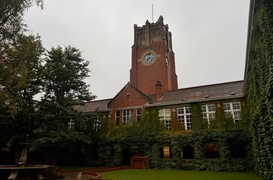 Overgrown ivy and dense tree canopy surrounding a historic brick building before tree and garden maintenance.