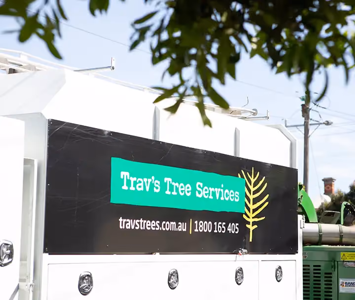 Trav's Tree Services truck with company logo and contact details.