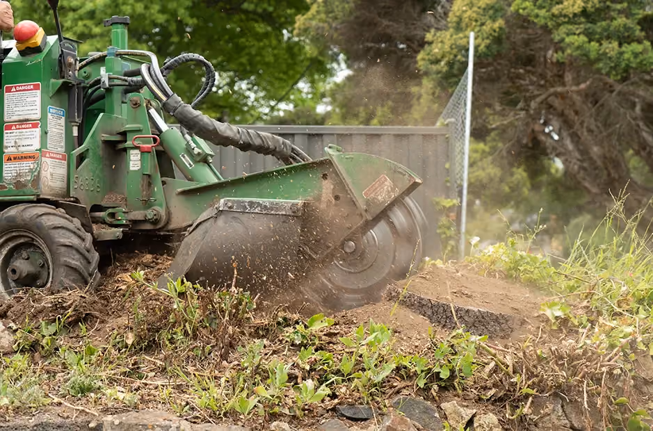 Precision stump grinding in progress to fully remove an unwanted tree base.
