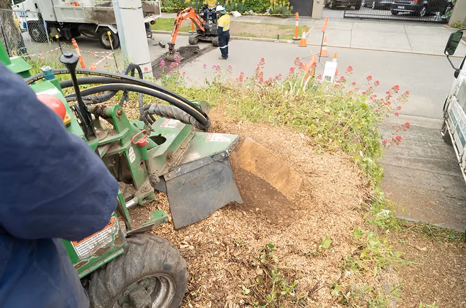 Stump completely cleared and mulched, leaving the space ready for replanting or landscaping.